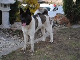 2011_03_27 254.jpg